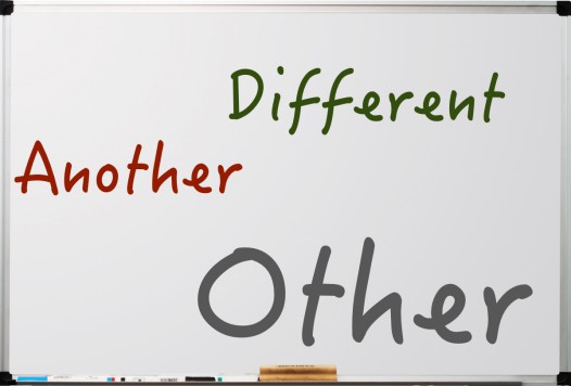 The difference between 'another', 'other' and 'different